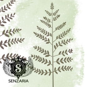 Трафарет - Пузырник дайка