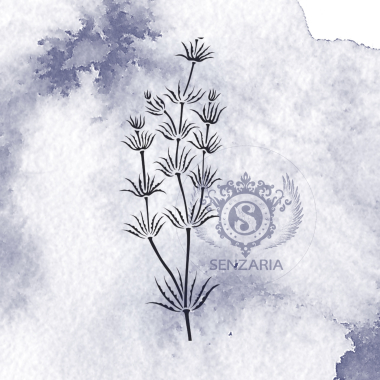 Трафарет - Хара